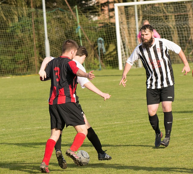 荷蘭完勝 荷蘭完勝